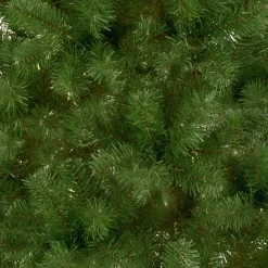 7.5 ft. Canadian Fir Tree