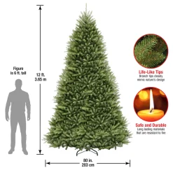 12 ft. Dunhill Fir Tree