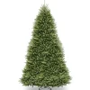 14 ft. Dunhill Fir Tree