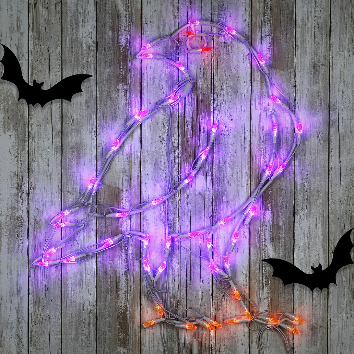 2 ft. Halloween Raven Lighted Sign Decoration with LED Lights