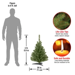 3 ft. Kincaid Spruce Tree