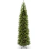 10 ft. Kingswood Fir Pencil Slim Tree