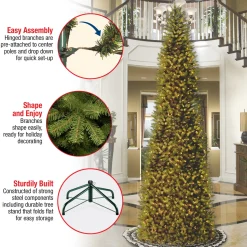 10 ft. Kingswood Fir Pencil Slim Tree