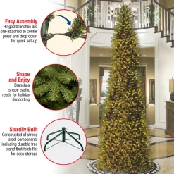 10 ft. Kingswood Fir Pencil Slim Tree