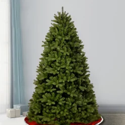 7.5 ft. Newberry Spruce Tree