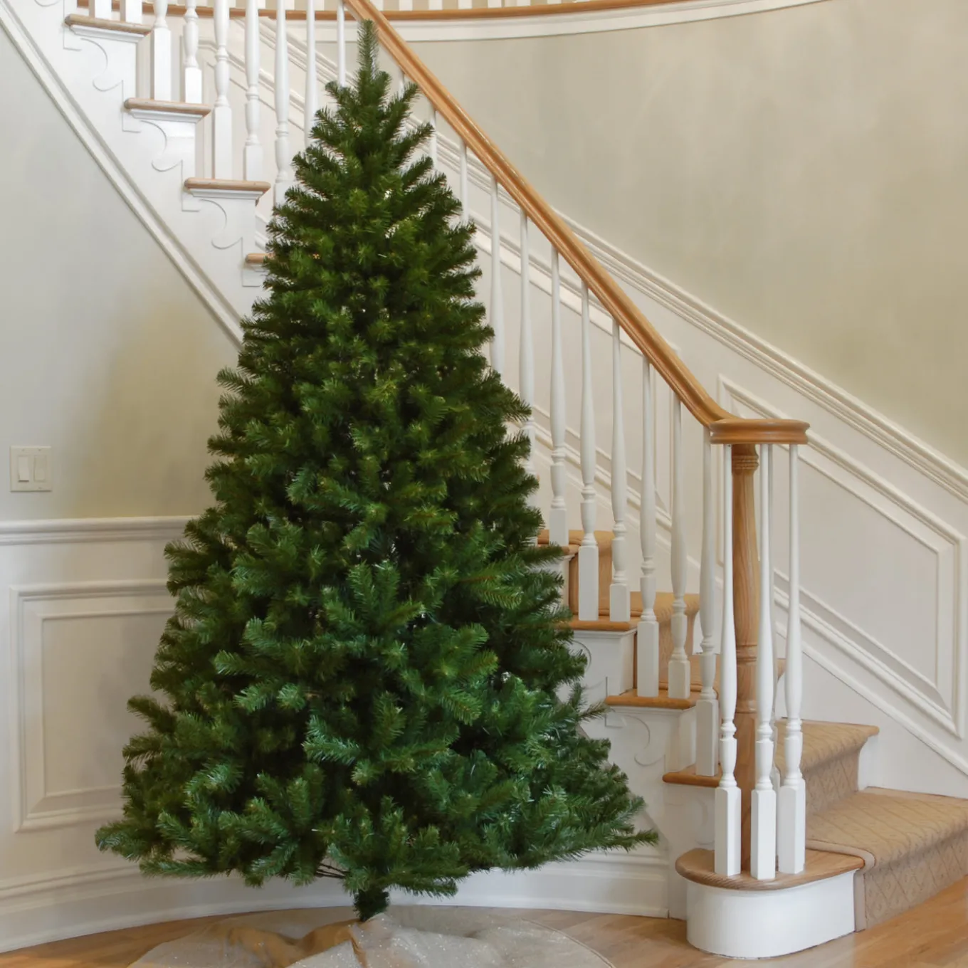 7 ft. North Valley Spruce Tree