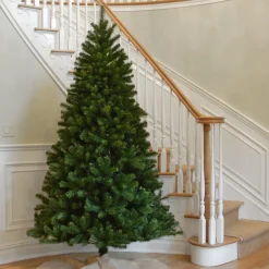 7.5 ft. North Valley Spruce Tree