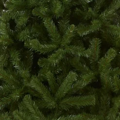 9 ft. North Valley Spruce Tree