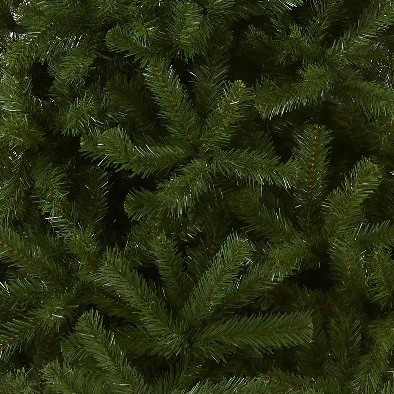 9 ft. North Valley Spruce Tree