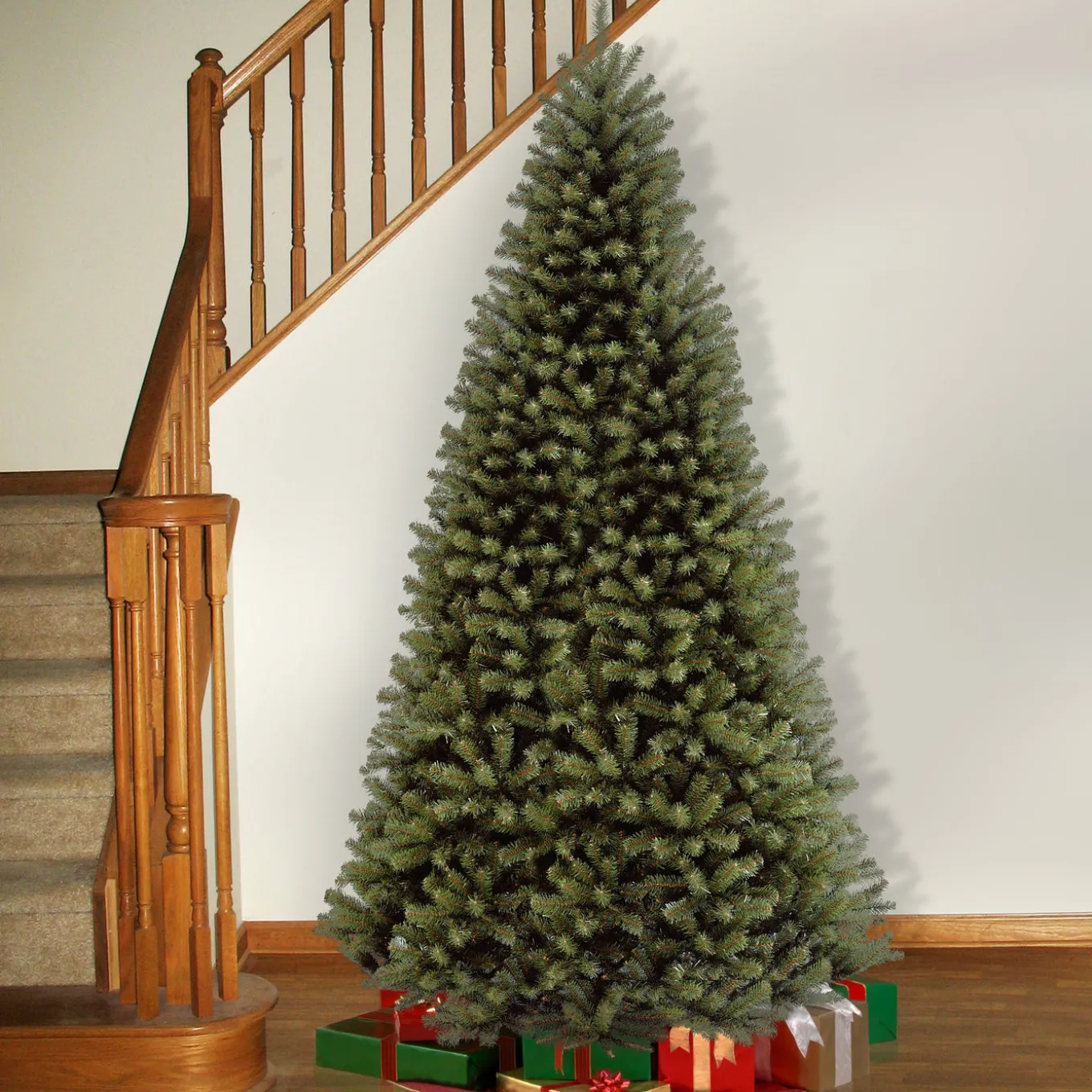 9 ft. North Valley Spruce Tree