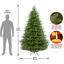 7.5 ft. Norway Fir Tree
