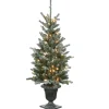 4 ft. Pre-Lit Snowy Morgan Spruce Tree with Clear Lights