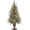 4 ft. Pre-Lit Aberdeen Blue Spruce Tree with Twinkly LED Lights