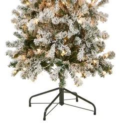 6 ft. Pre-Lit Acacia Medium Flocked Tree with Clear Lights