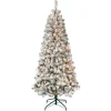6 ft. Pre-Lit Acacia Slim Tree with Clear Lights