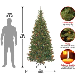 7.5 ft. Pre-Lit Aspen Spruce Slim Tree with Multicolor Lights