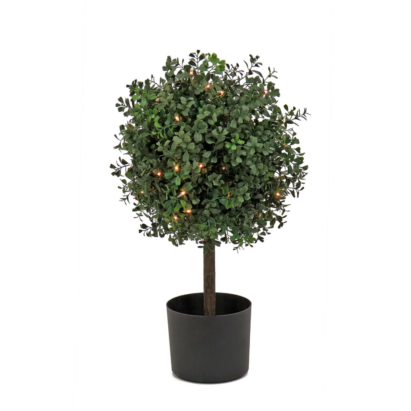 2 ft. Pre-Lit Boxwood Single Ball Topiary in Black Nursery Pot with Clear Lights