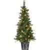 5 ft. Pre-Lit Buzzard Pine Slim Tree with LED Lights