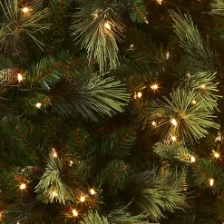 7.5 ft. Pre-Lit Carolina Pine Tree with 1000 Clear Lights