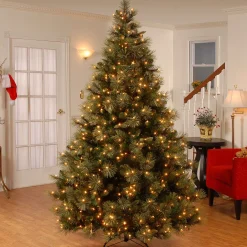 7.5 ft. Pre-Lit Carolina Pine Tree with 750 Clear Lights