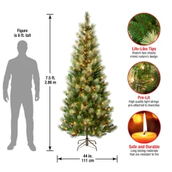 7.5 ft. Pre-Lit Charleston Pine Slim Tree with Clear Lights