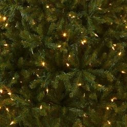 7 ft. Pre-Lit Dunhill Fir Tree with PowerConnect Dual Color LED Lights