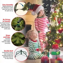 9 ft. Pre-Lit Dunhill Fir Tree with PowerConnect Clear Lights