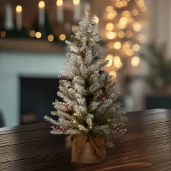 3 ft. Pre-Lit Dunhill Fir Tree with Warm White LED Lights