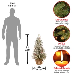 3 ft. Pre-Lit Dunhill Fir Tree with Warm White LED Lights