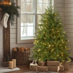 4 ft. Pre-Lit Dunhill Fir Tree with Clear Lights