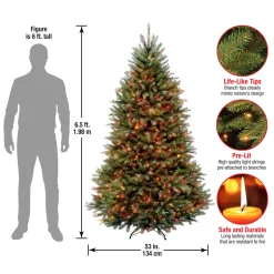 6.5 ft. Pre-Lit Dunhill Fir Tree with Multicolor Lights
