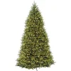 12 ft. Pre-Lit Dunhill Fir Tree with Clear Lights