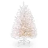 4.5 ft. Pre-Lit Dunhill White Fir Tree with Clear Lights