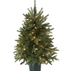3 ft. Pre-Lit Everyday Collection Tree with Clear Lights