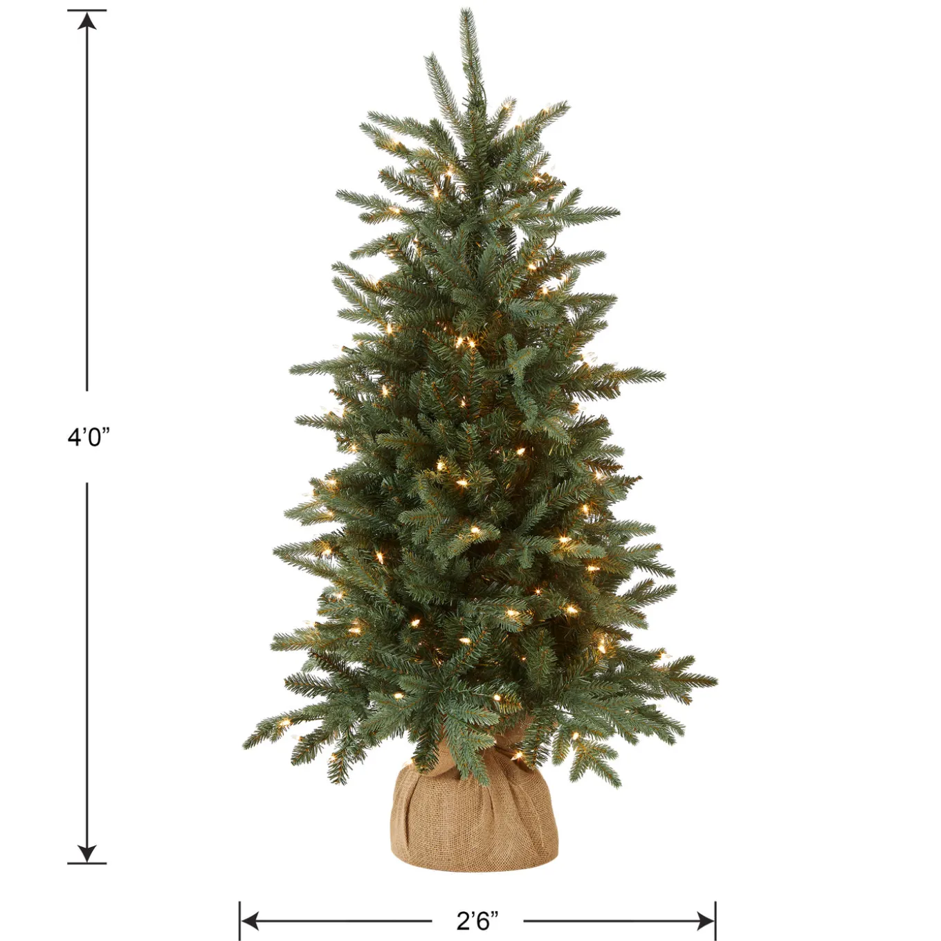 4 ft. Pre-Lit Everyday Collection Tree with Clear Lights
