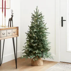 4 ft. Pre-Lit Everyday Collection Tree with Clear Lights