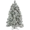 6.5 ft. Pre-Lit Flocked Bavarian Pine Tree