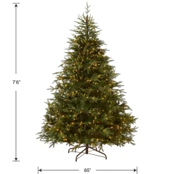 7.5 ft. Pre-Lit Fraser Grande Tree with Dual Color LED Lights