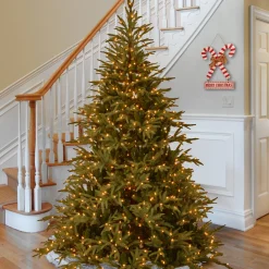 9 ft. Pre-Lit Fraser Grande Tree with Dual Color LED Lights