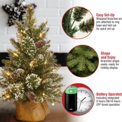 2 ft. Pre-Lit Glittery Bristle Tree with LED Lights