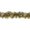 9 ft. Pre-Lit Glittery Bristle Pine Garland with Clear Lights