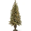 4 ft. Pre-Lit Glittery Bristle Tree with Warm White LED Lights