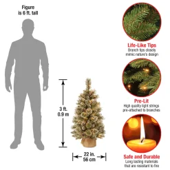 3 ft. Pre-Lit Glittery Bristle Tree with LED Lights