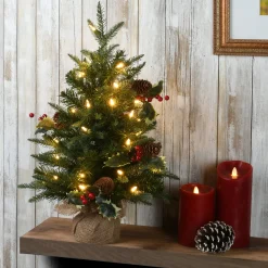 2 ft. Pre-Lit Happy Hill Pine Tree with LED Lights