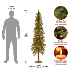 6 ft. Pre-Lit Hickory Cedar Tree with Clear Lights