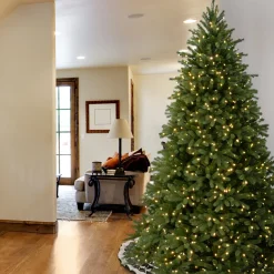 7.5 ft. Pre-Lit Jersey Fraser Fir Tree with Clear Lights