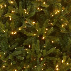 7.5 ft. Pre-Lit Jersey Fraser Fir Medium Tree with Dual Color LED Lights