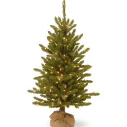 4 ft. Pre-Lit Kensington Fir Tree in a Burlap Sack with Clear Lights