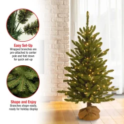 4 ft. Pre-Lit Kensington Fir Tree in a Burlap Sack with Clear Lights