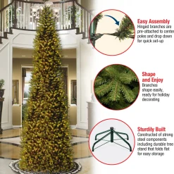 14 ft. Pre-Lit Kingswood Fir Pencil Tree with Clear Lights
